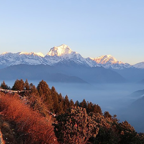 Trekking in Nepal