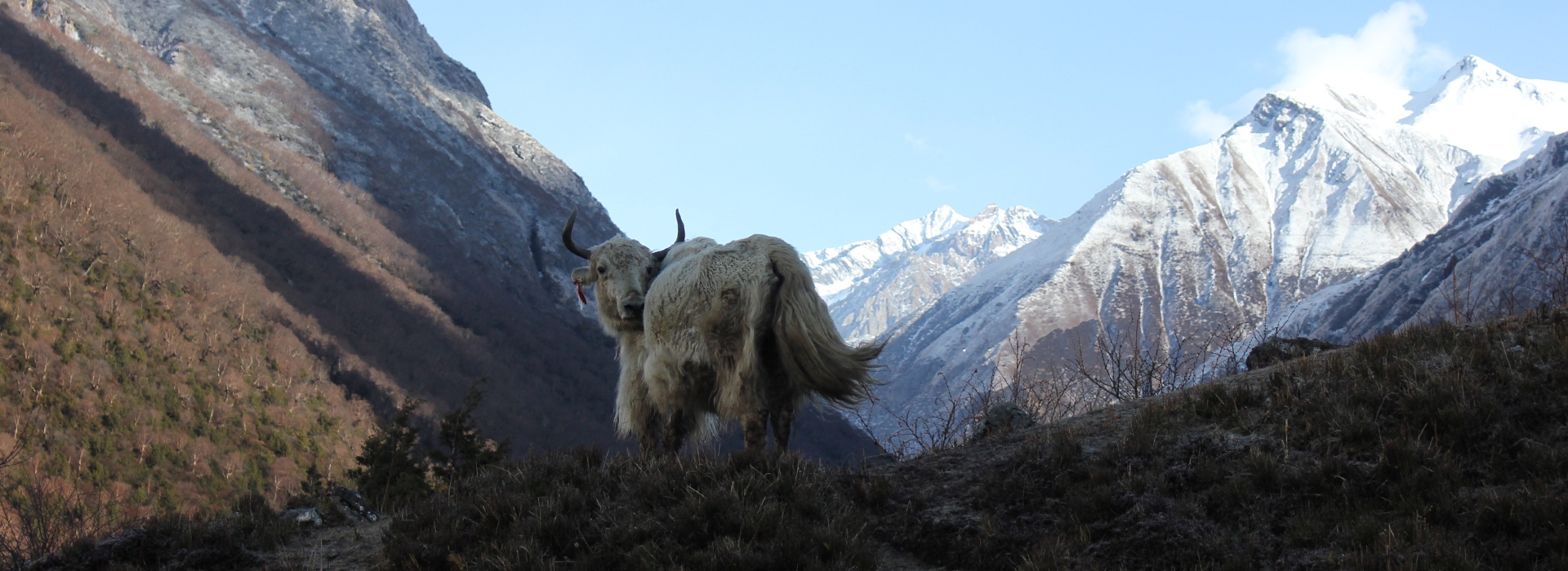 The wonderful Manaslu Trek