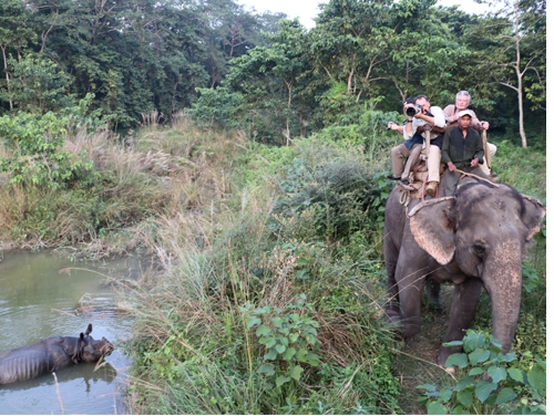 Chitwan Jungle Safari: An amazing experience with the Nature