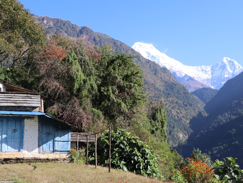 Ghorepani Recreational Yoga Trek